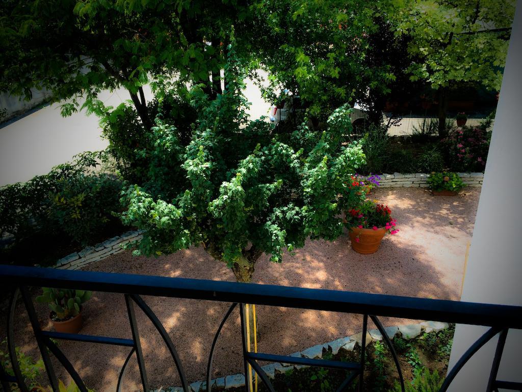 Bed & Breakfast Don Carlos San Martino di Lupari Экстерьер фото