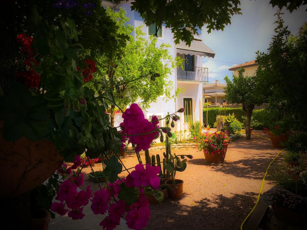 Bed & Breakfast Don Carlos San Martino di Lupari Экстерьер фото